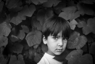 Talan