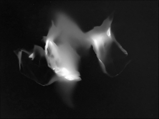 Multimetamorphosis-II