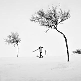 The snow, the trees and my Master 