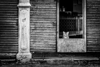 Havana Streets