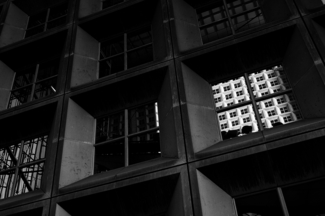 Window in the Wndow