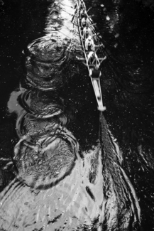 Black Water