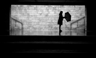 Shelter