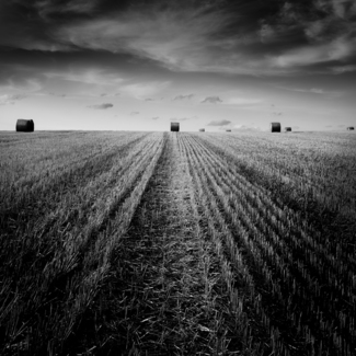 Harvest