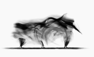 Dancer