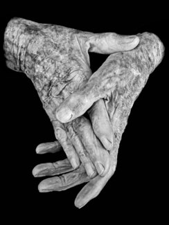 Folded Hands