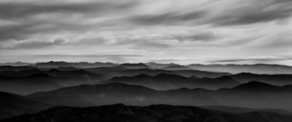 Timberline
