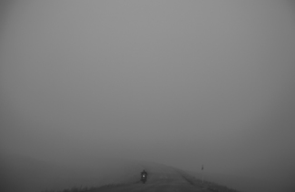 In And Out Of The Mist