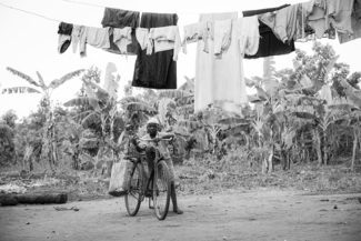 Laundry Boy