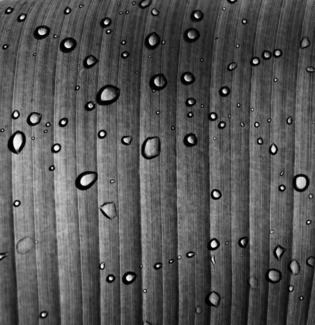 Droplets