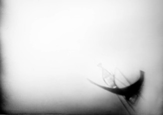 Bird Uncaged