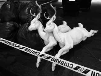 Crime Scene