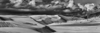The Wave (1)