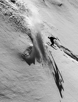 Free Skier