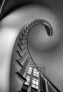 Nautilus