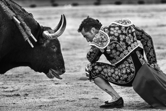 Matador