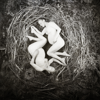 Pregnant Twins Nesting