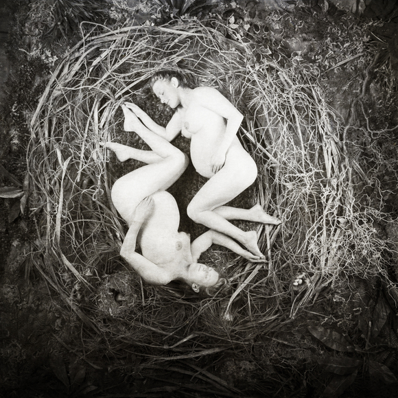 Pregnant Twins Nesting
