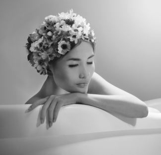 Anemone