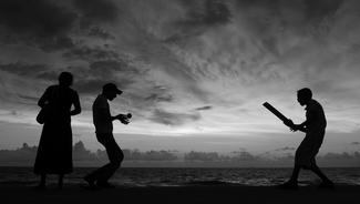 Sunset cricket