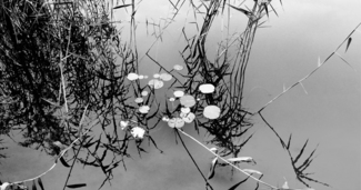 beijing water 04