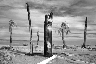 Salton Sea Resort