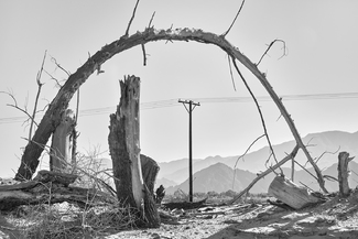 Bent Tree California