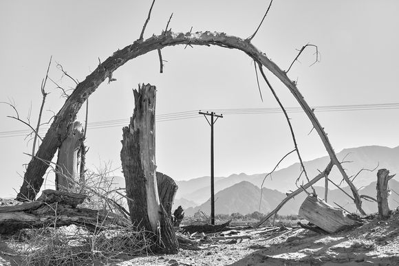 Bent Tree California