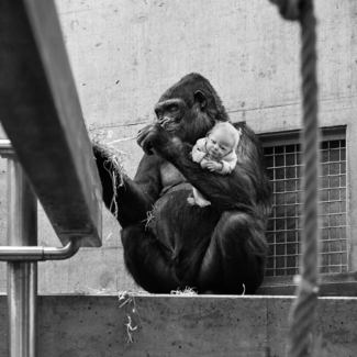 In the zoo