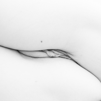 Labia Minora