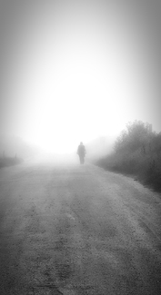 Fog Walk