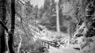 Latourell Falls