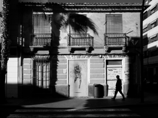 Afternoon shadows 