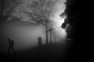 Foggy Walk