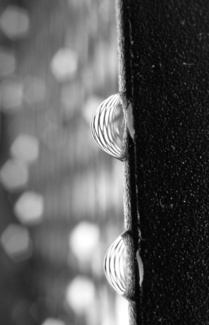 Dewdrops