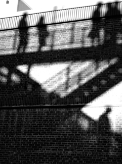 Walking the High Line 