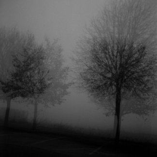 lost 