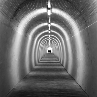 The Tunnel