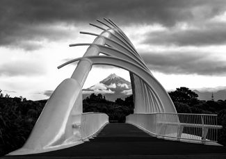 Te Rewa Rewa Bridge
