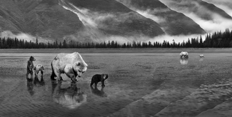 A Perfect Day in Alaska