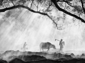 Ancient Farming
