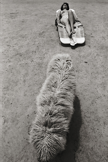 Sunbather & Dog