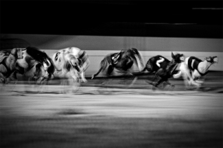 Speed (2)