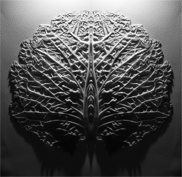 Untitled (4)