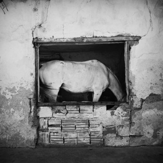 Belonging