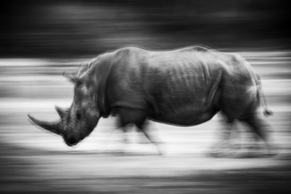 Speed&power