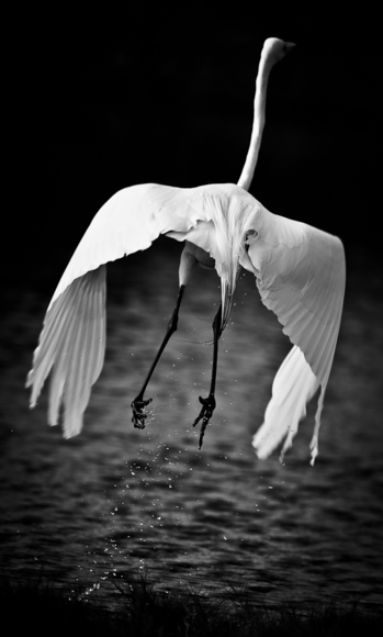 Droplets