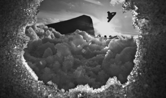 The Jump