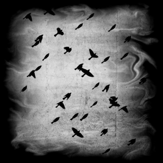 Into the light of the dark black night.
