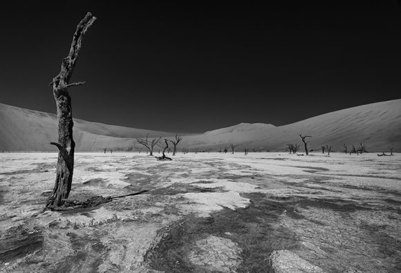 Deadvlei Namibia